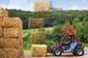 Телескопический погрузчик WEIDEMANN T4512